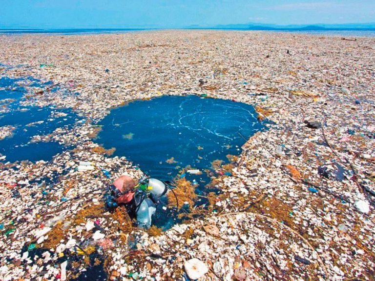 Floating Garbage Patches Grow in the Pacific Ocean - Chile Today